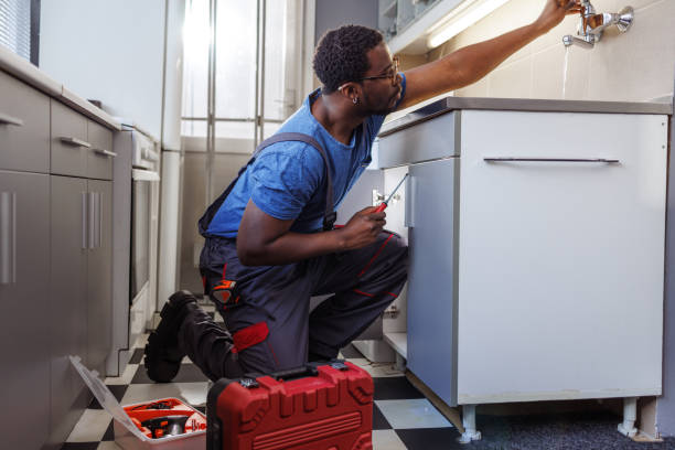 Best Garbage Disposal Repair and Installation  in Country Squire Lakes, IN